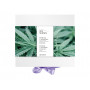 SPA SENSES SET PURIFYING & ANTIOXIDANT