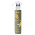 KI-POWER VEG SPRAY 2X