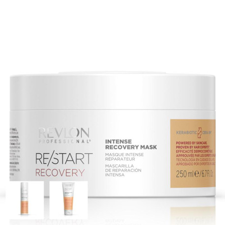 SET RESTART RECOVERY (3X RETAIL PRODUKT)