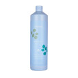 BALANCE+ SHAMPOO 2x