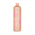 DISCIPLINE SHAMPOO (2+1)