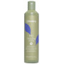 NO YELLOW SHAMPOO (2+1)