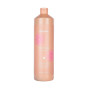 DISCIPLINE SHAMPOO