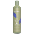 NO YELLOW SHAMPOO